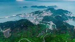 大象传媒app是什么软件-探索大象传媒app，数字时代的娱乐新阵地