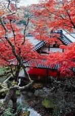 欧美亚洲日韩视频中文字幕-跨文化视界,探索欧美、亚洲、日韩视频中文字幕的多元魅力